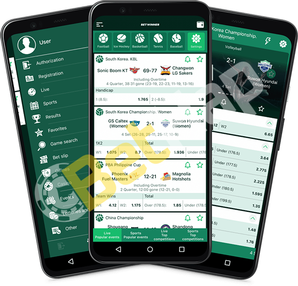 All You Need to Know About Betwinner Betting