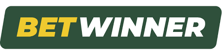 All You Need to Know About Betwinner Betting